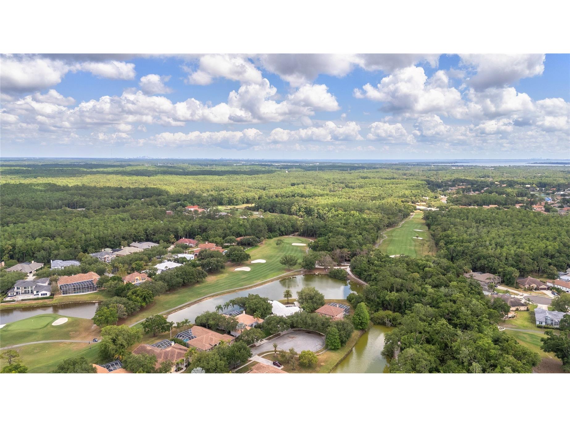 50 Kelleys Trail Oldsmar FL 34677 TB8504781 image55