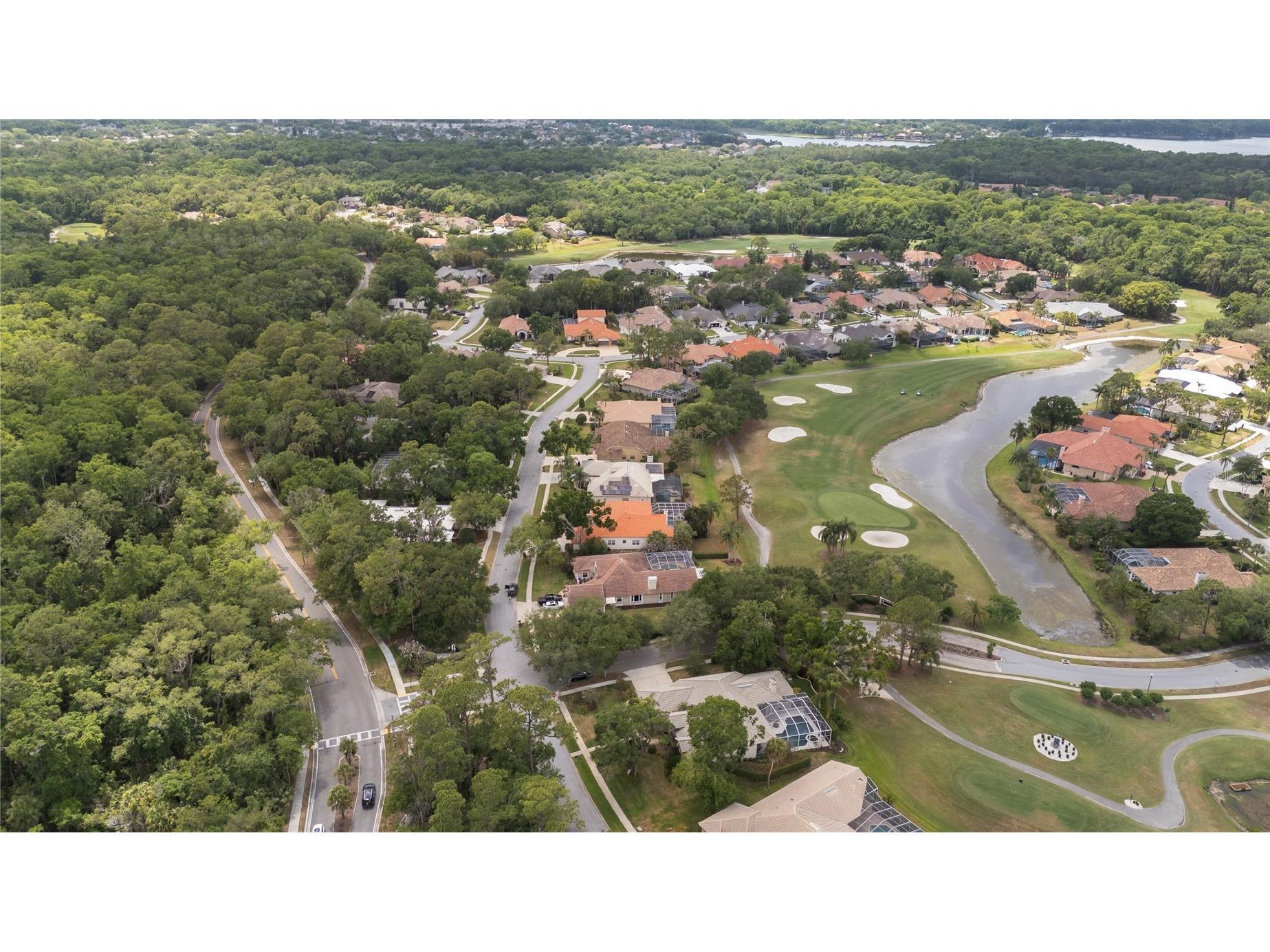 50 Kelleys Trail Oldsmar FL 34677 TB8504781 image56