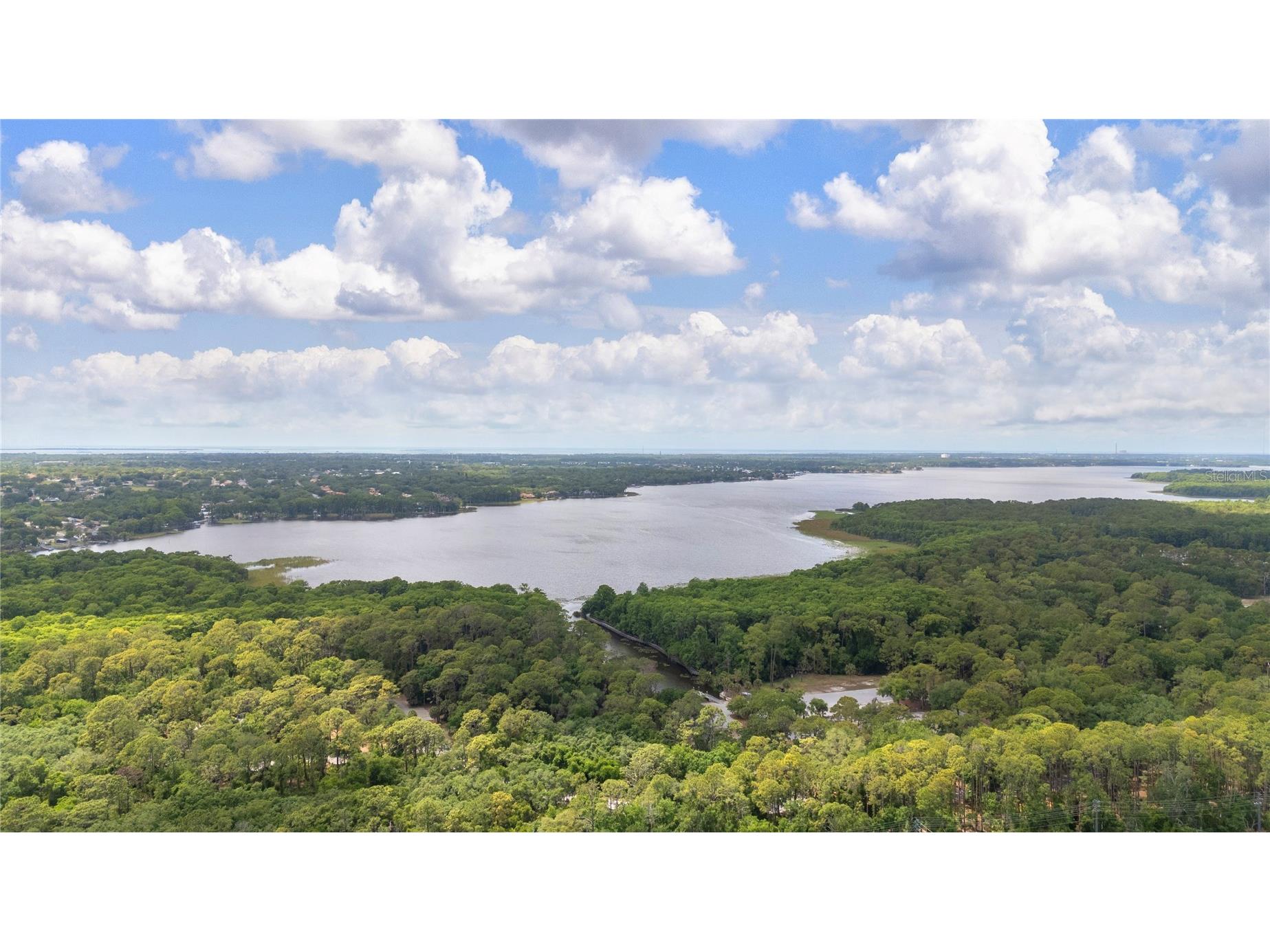 50 Kelleys Trail Oldsmar FL 34677 TB8504781 image57