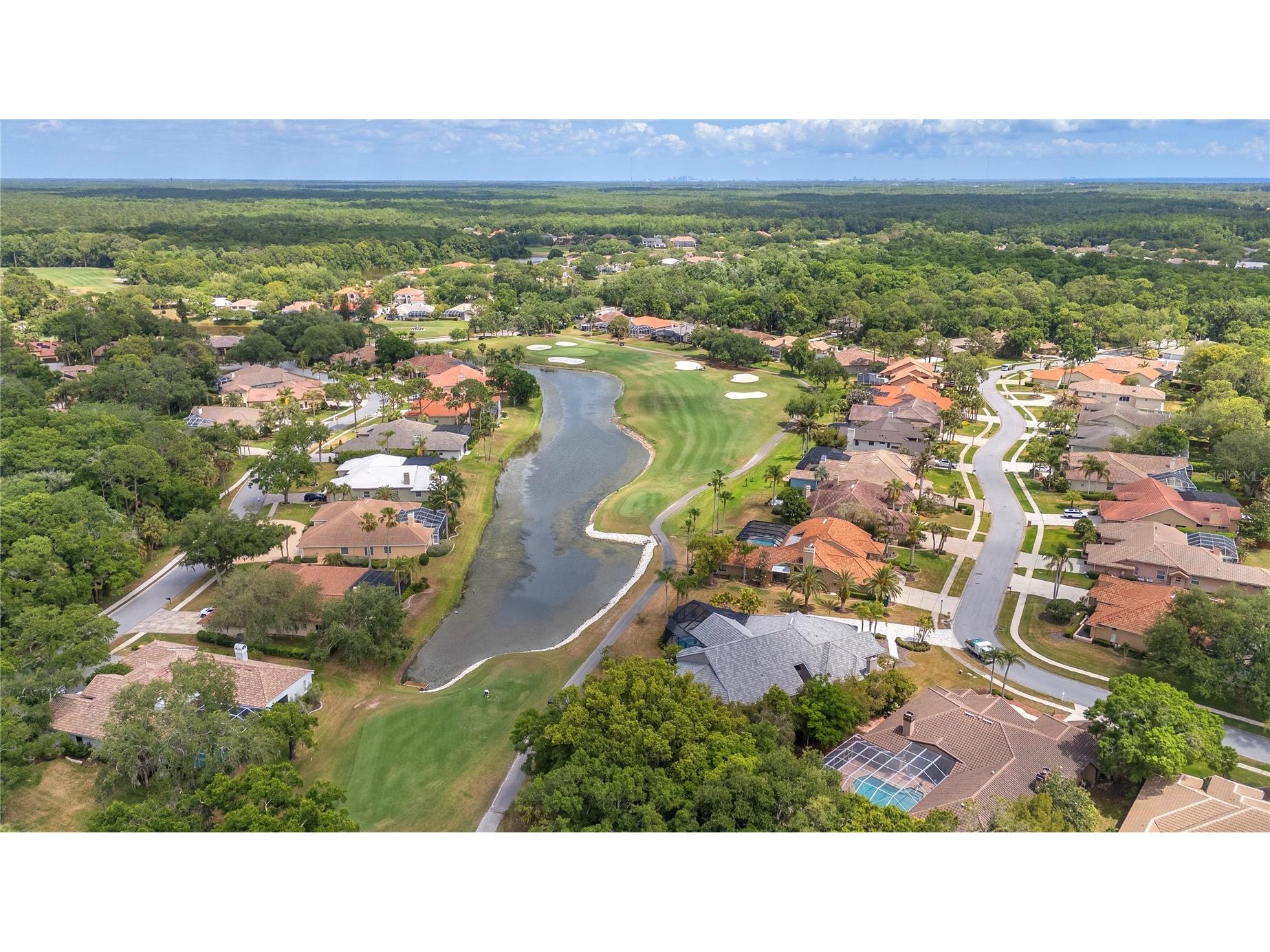 50 Kelleys Trail Oldsmar FL 34677 TB8504781 image58