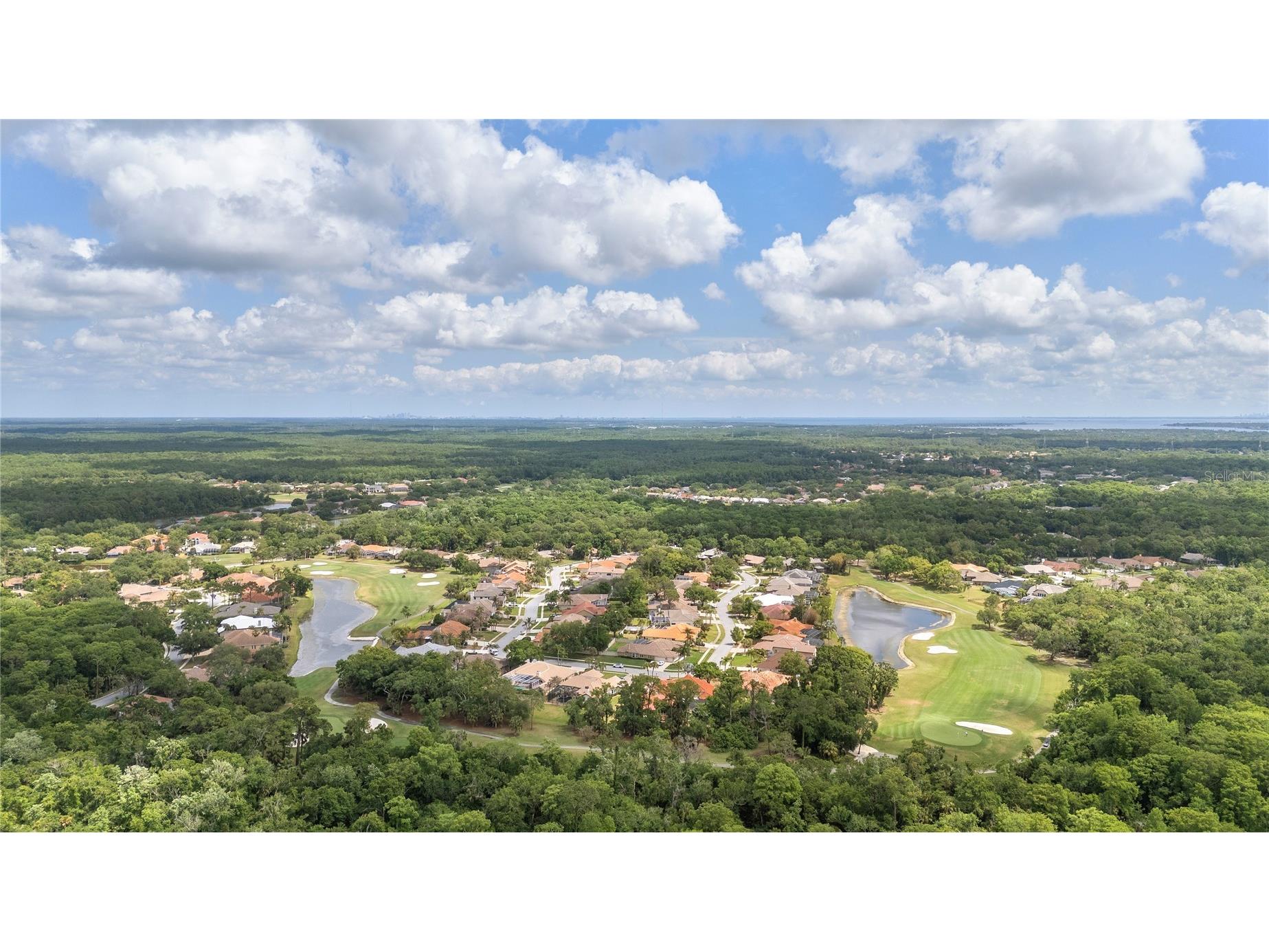 50 Kelleys Trail Oldsmar FL 34677 TB8504781 image59