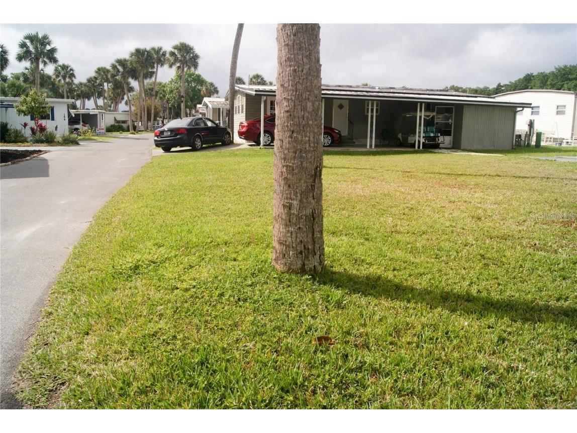 50 Live Oak Drive Eustis FL 32726 - Trout Lake O6276952 image3