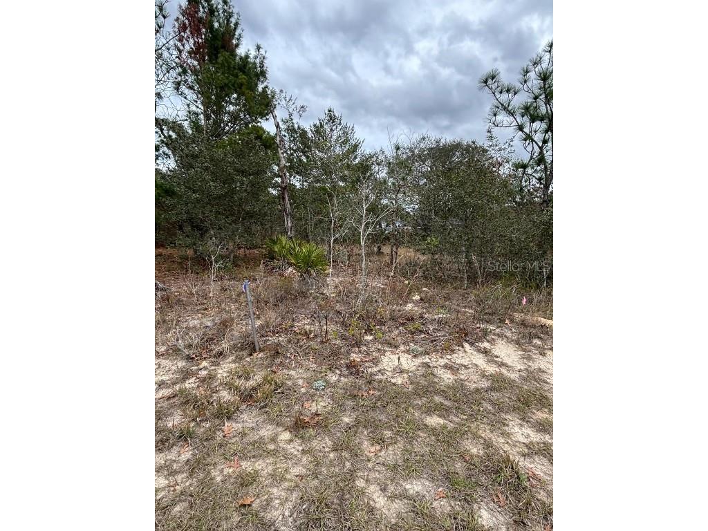 50 Lone Pine Street Homosassa FL 34446 T3535556 image1