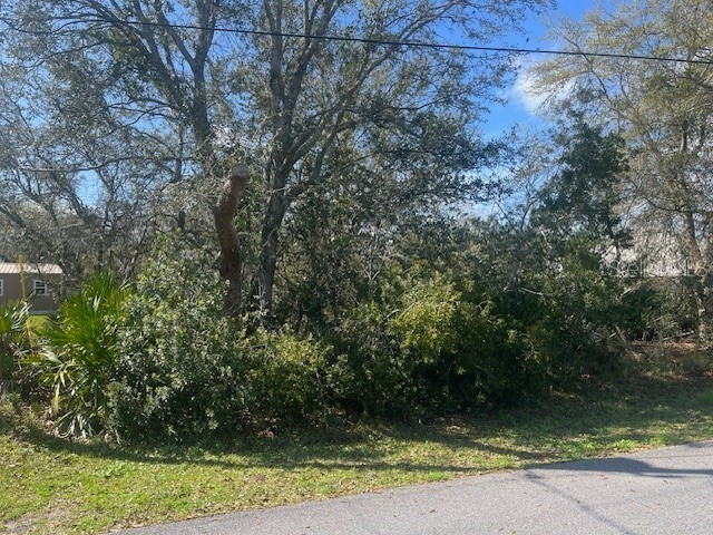 50 Louisiana Drive Palm Coast FL 32137 FC298839 image1