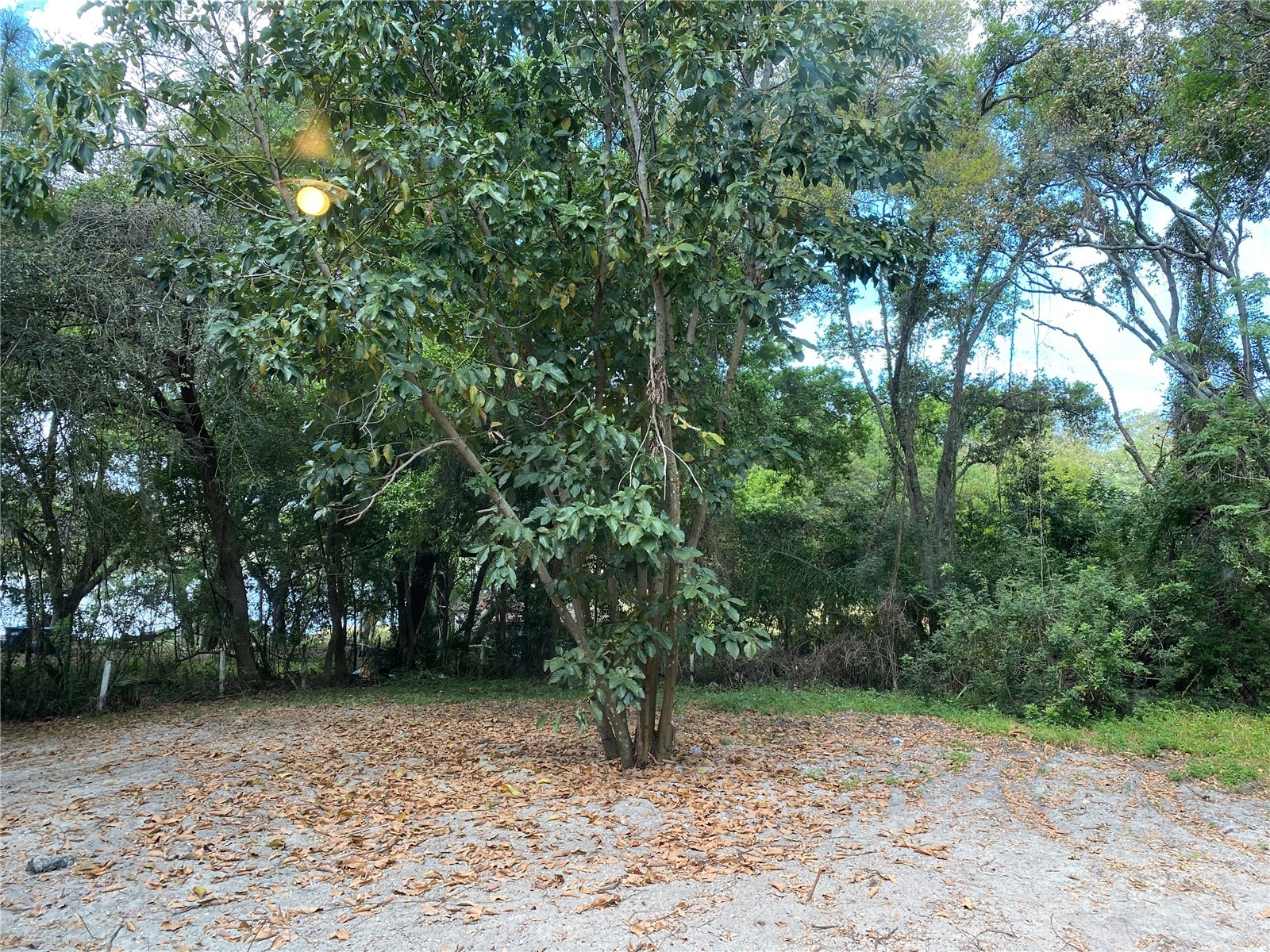 50 Mileham Drive Orlando FL 32835 O6374805 image11