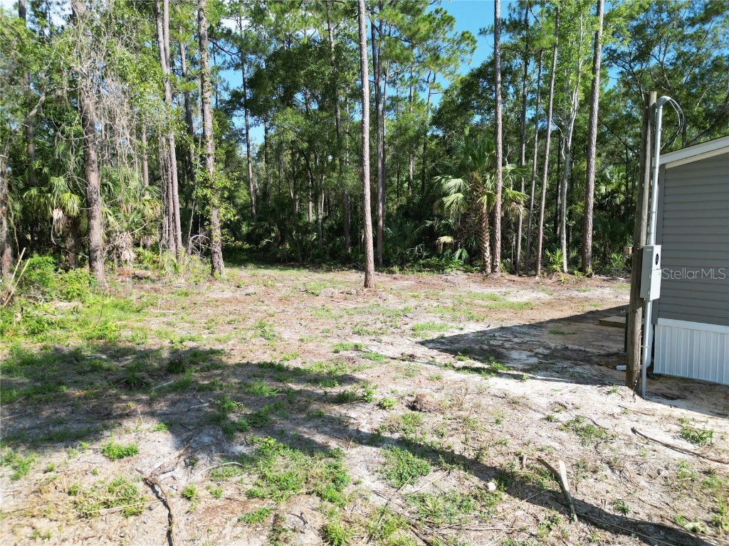 50 Neeld Inglis FL 34449 TB8450518 image33