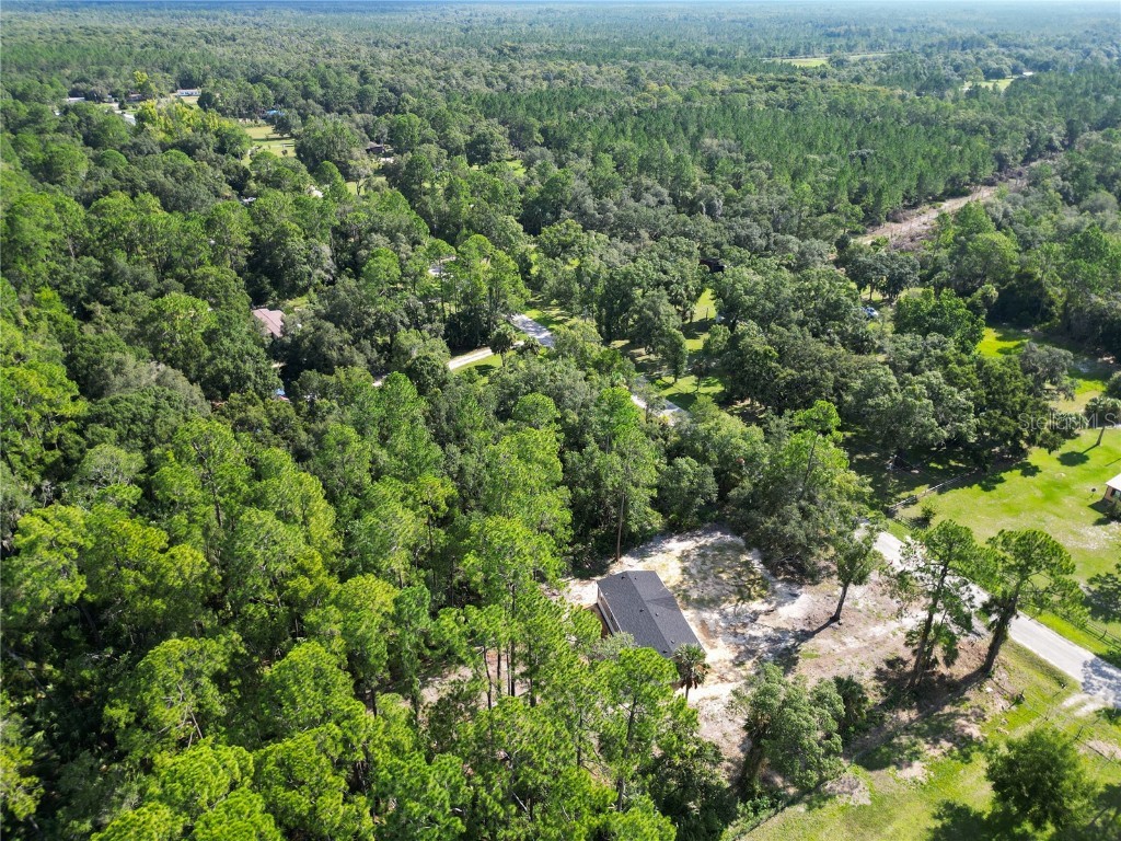 50 Neeld Inglis FL 34449 TB8450518 image38