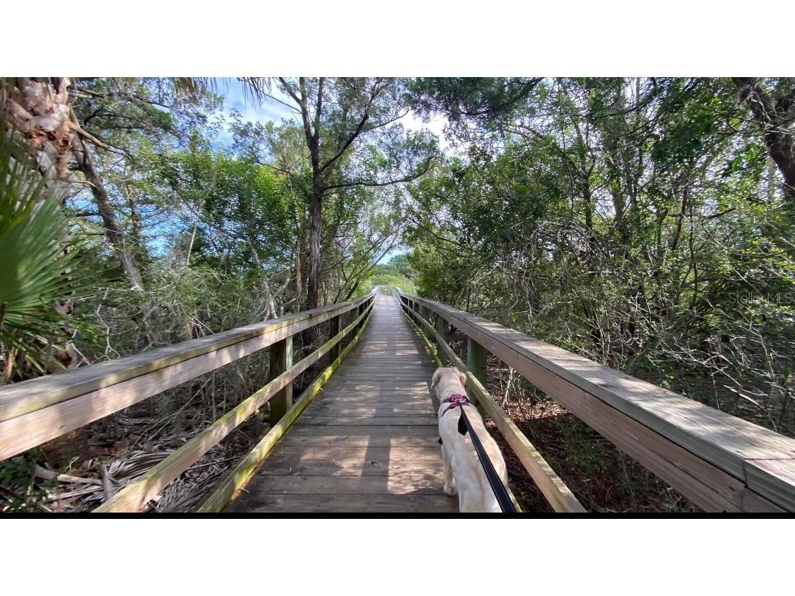 50 Ocean Palm Villa S Flagler Beach FL 32136 FC304068 image39