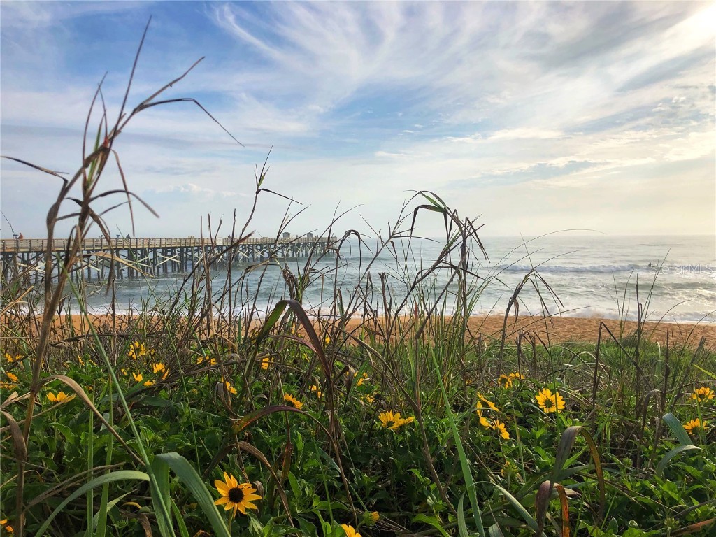 50 Ocean Palm Villa S Flagler Beach FL 32136 FC304068 image4