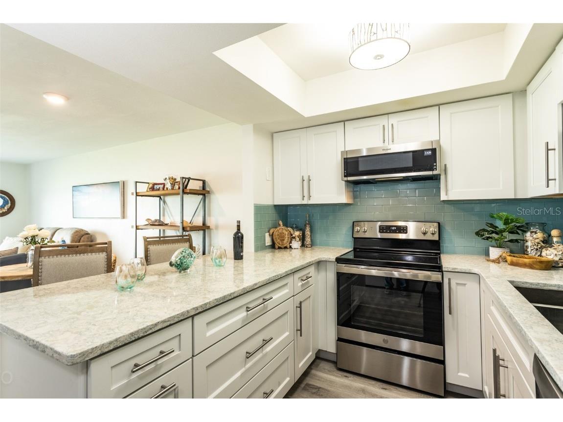 50 Ocean Palm Villa S Flagler Beach FL 32136 FC304068 image7