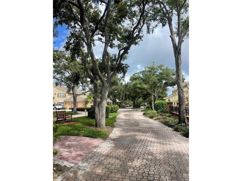 50 Pelican Place Belleair FL 33756 TB8418111 image27