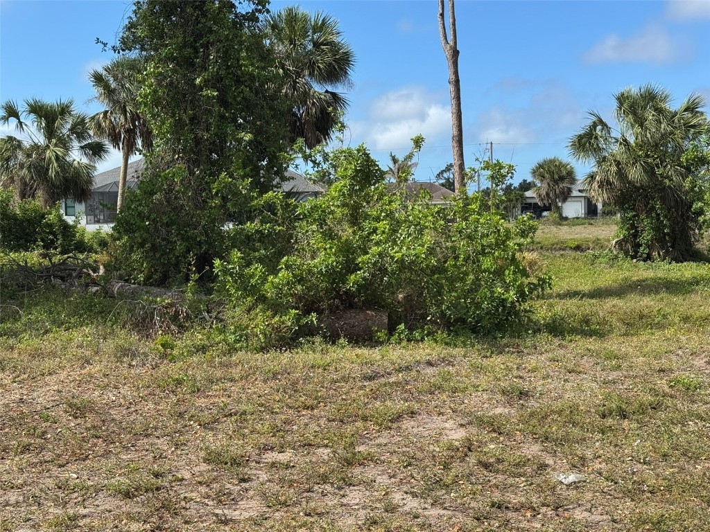 50 Pine Valley Lane Rotonda West FL 33947 D6141662 image3