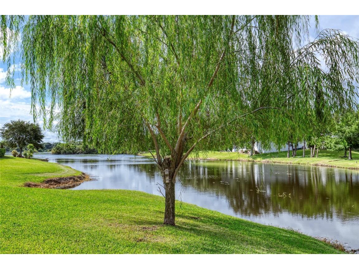 50 Rocky Bluff Drive Ormond Beach FL 32174 V4944972 image57