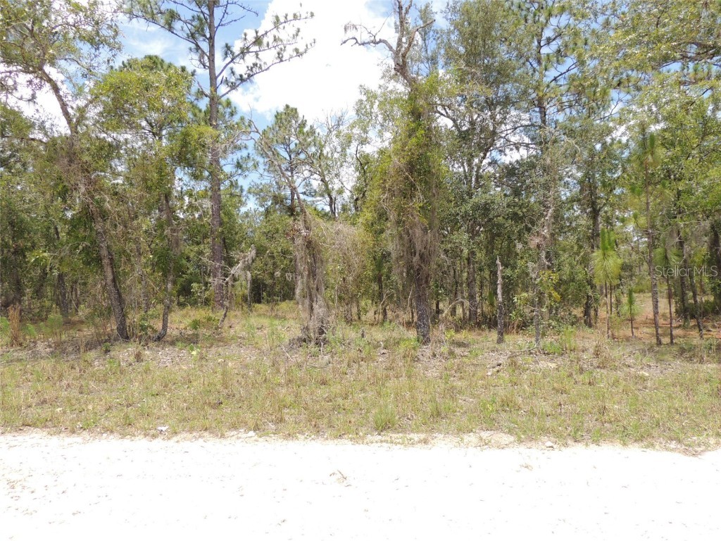 50 SE 145th Court Williston FL 32696 OM680742 image1