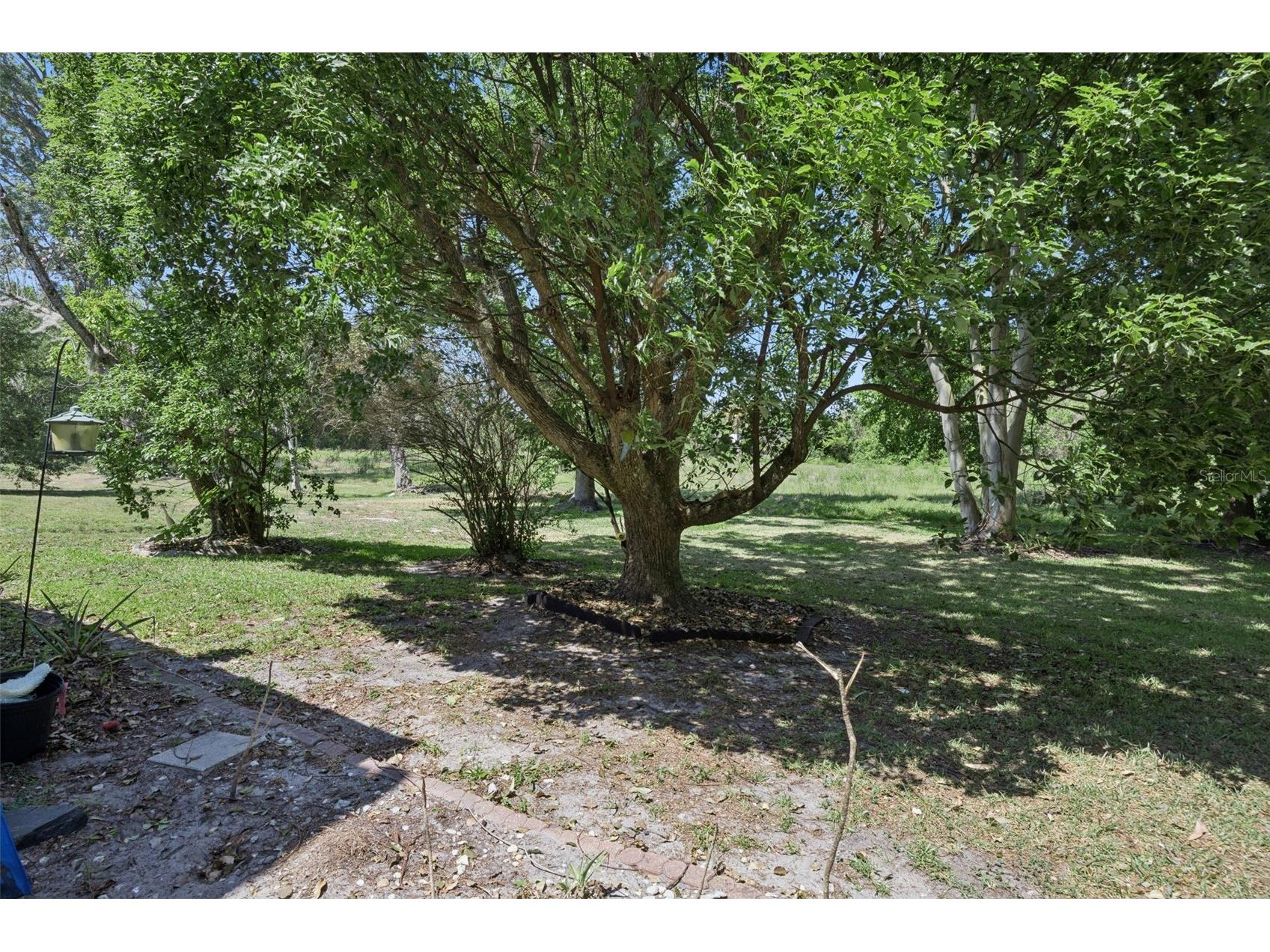 50 Sheoah Boulevard #33 Winter Springs FL 32708 O6404380 image23