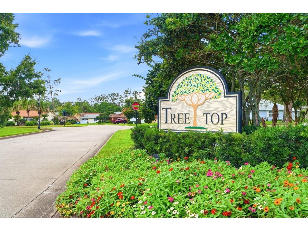 50 Treetop Circle Ormond Beach FL 32174 NS1088400 image72