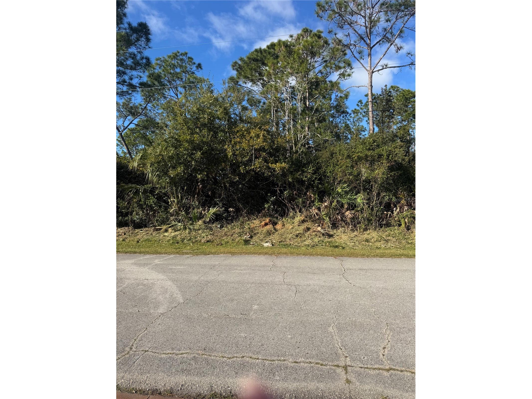 50 Wheeling Lane Palm Coast FL 32164 FC314753 image1