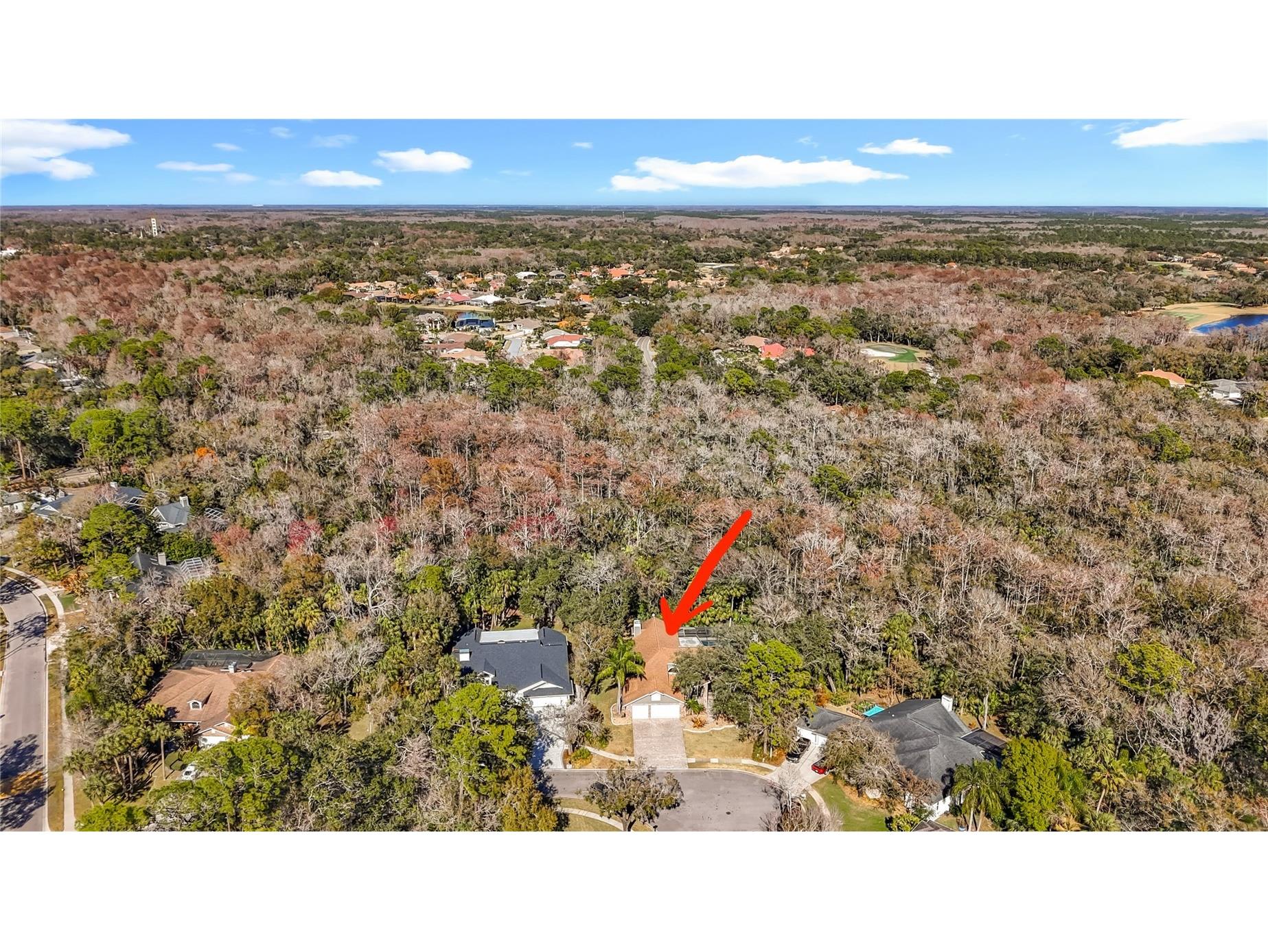 50 Willowood Lane Oldsmar FL 34677 TB8475420 image72