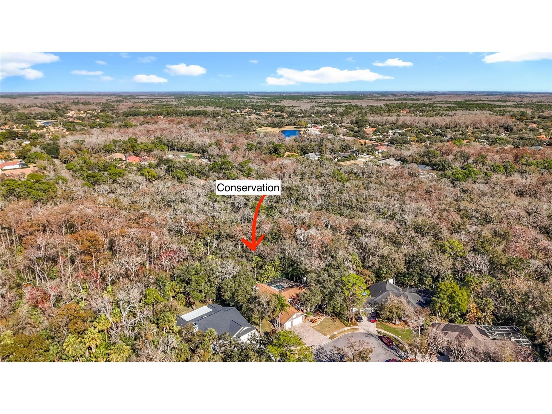 50 Willowood Lane Oldsmar FL 34677 TB8475420 image73