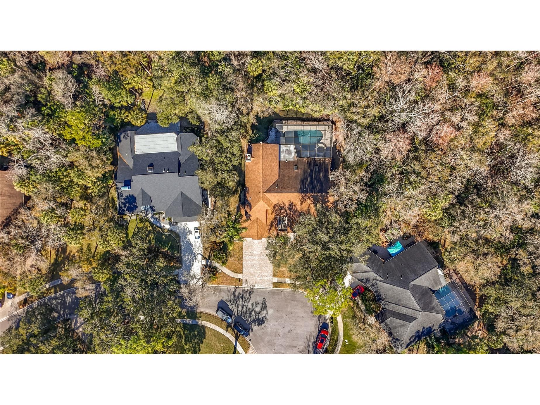 50 Willowood Lane Oldsmar FL 34677 TB8475420 image74