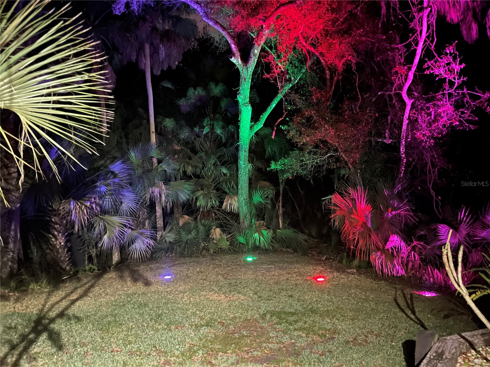 50 Willowood Lane Oldsmar FL 34677 TB8475420 image84