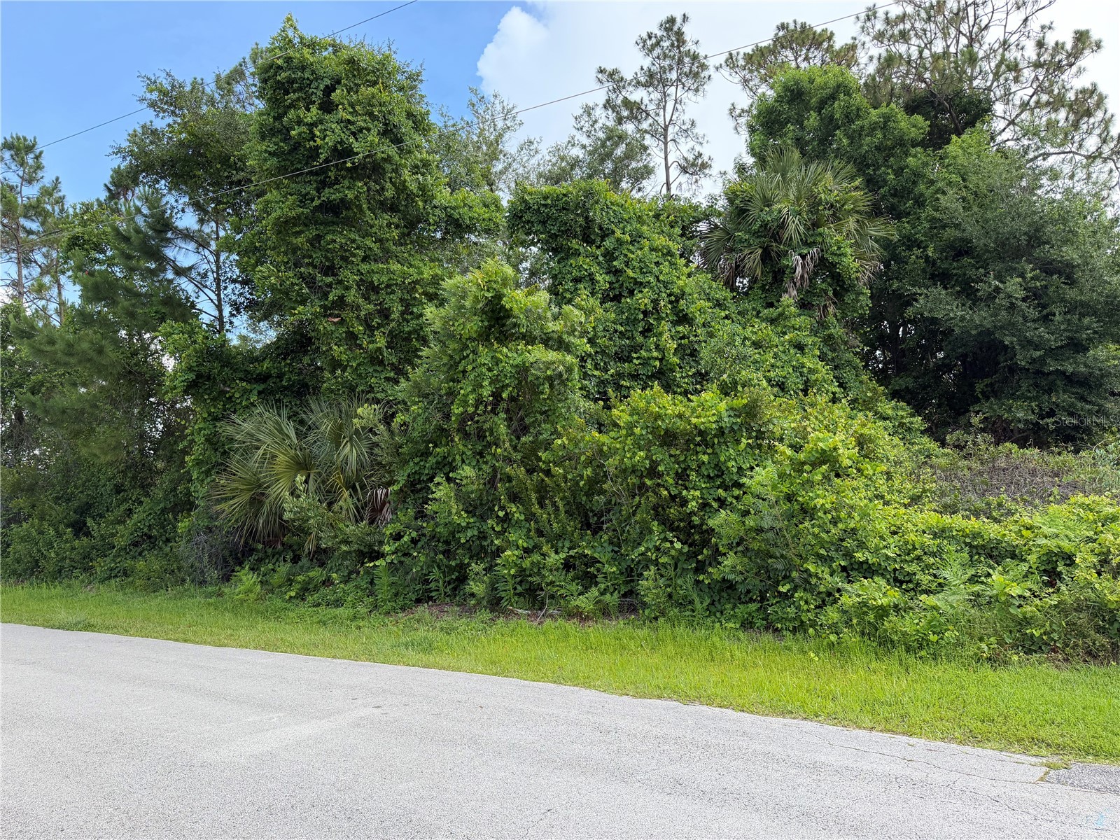 50 Woodbury Drive Palm Coast FL 32164 FC318975 image2