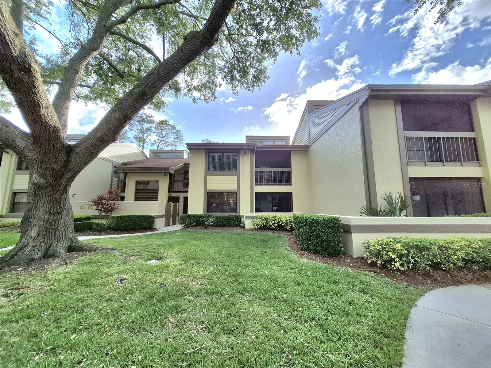 50 Woodlake Place #50 Oldsmar FL 34677 TB8518739 image2