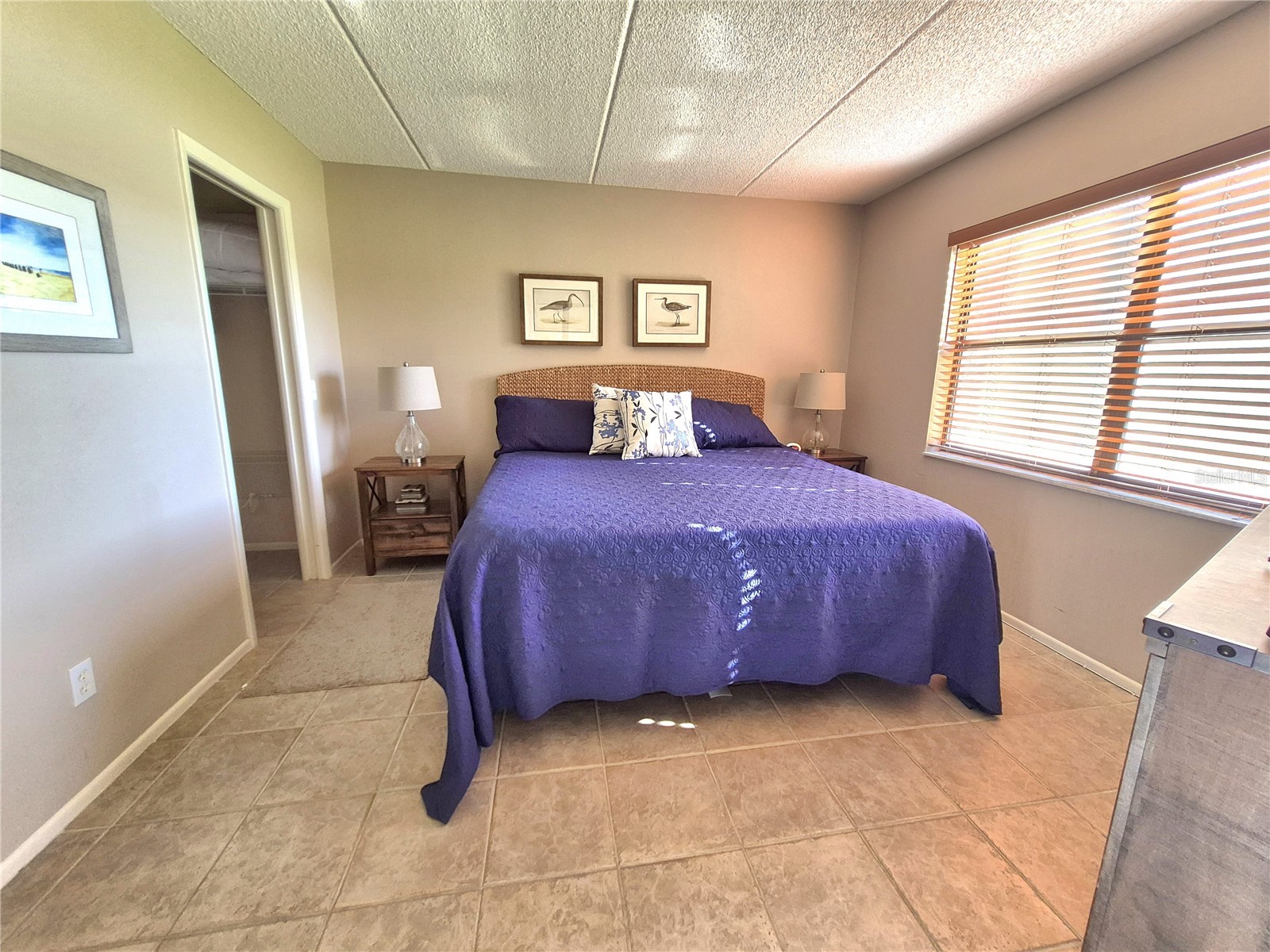 50 Woodlake Place #50 Oldsmar FL 34677 TB8518739 image25