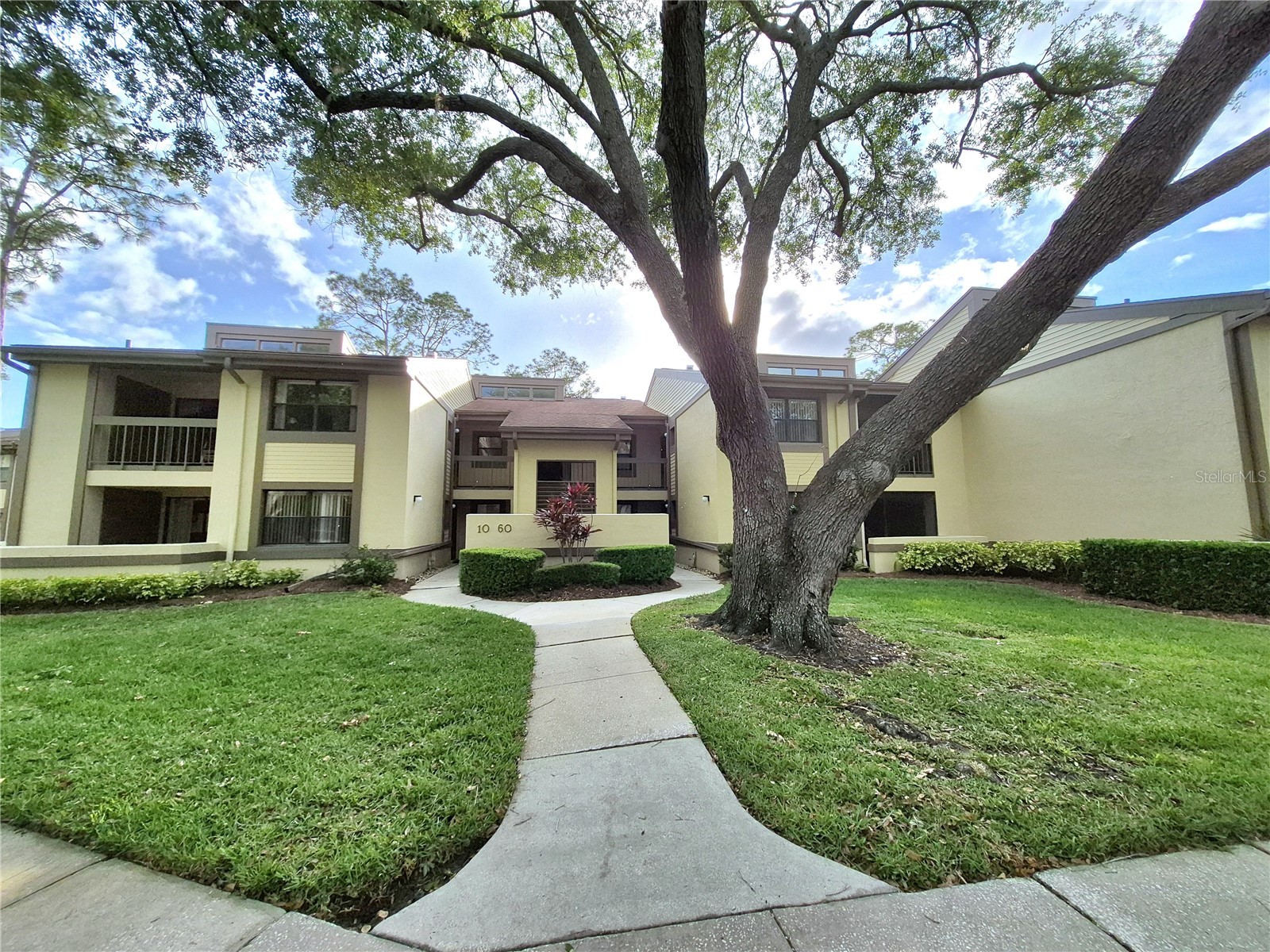 50 Woodlake Place Oldsmar FL 34677 TB8507105 image1