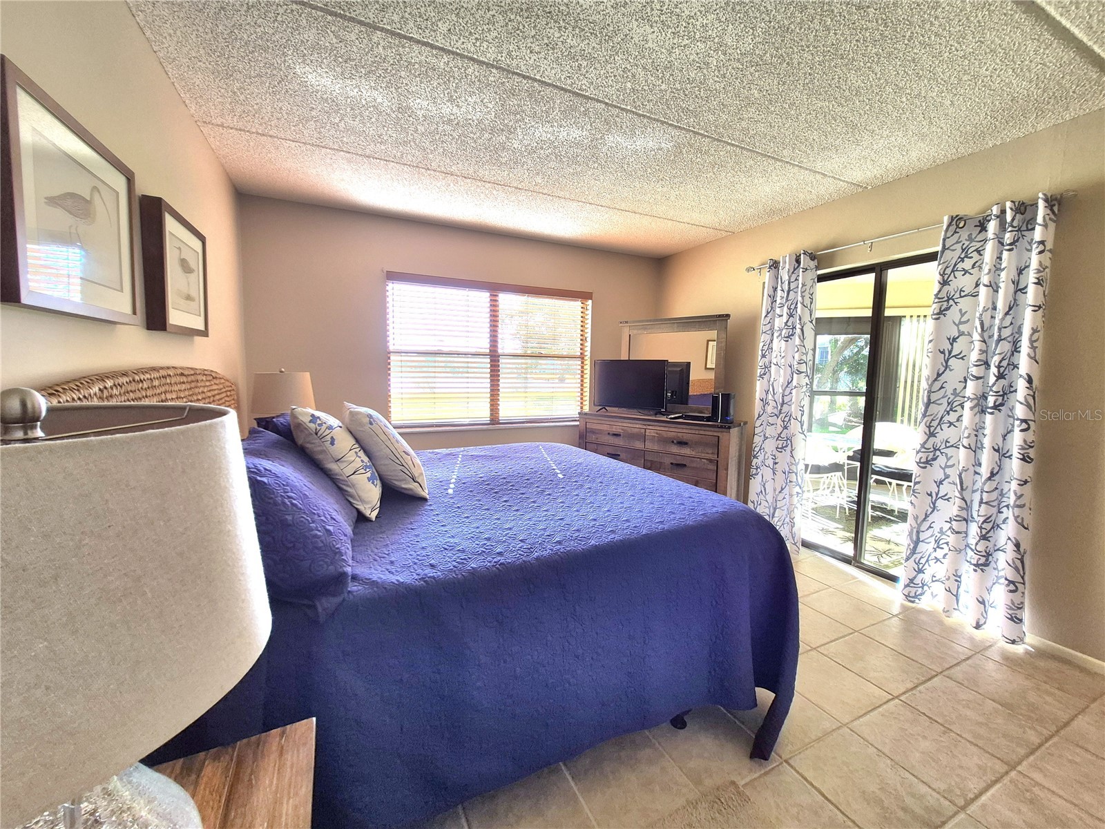 50 Woodlake Place Oldsmar FL 34677 TB8507105 image23