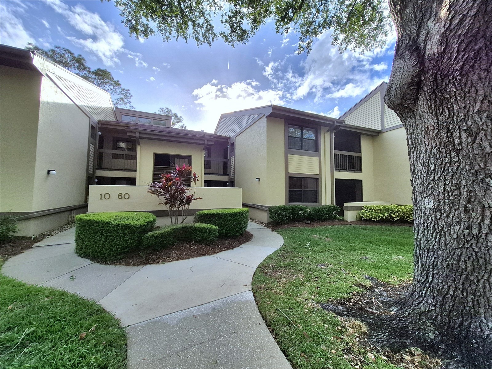 50 Woodlake Place Oldsmar FL 34677 TB8507105 image3