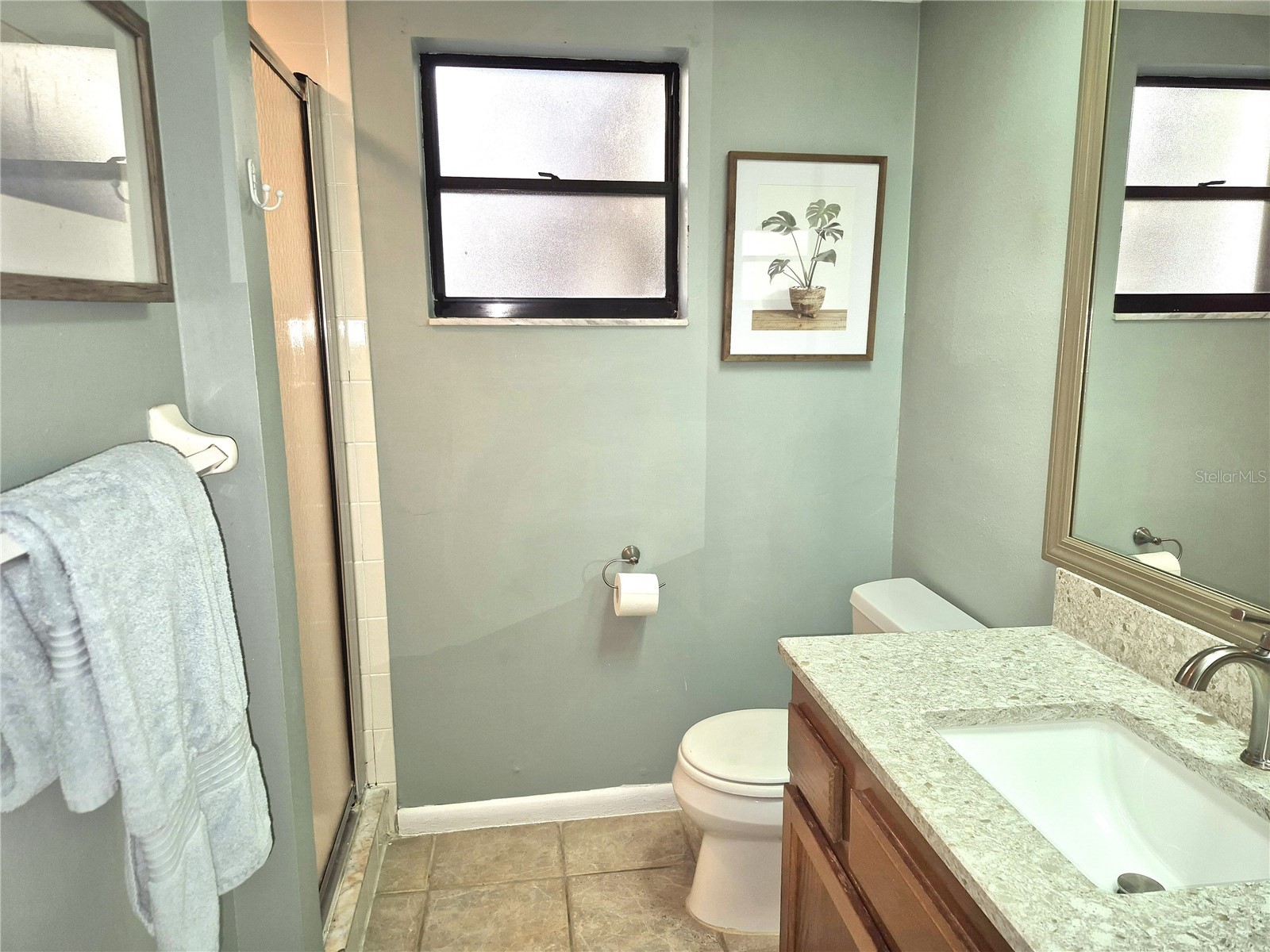 50 Woodlake Place Oldsmar FL 34677 TB8507105 image31