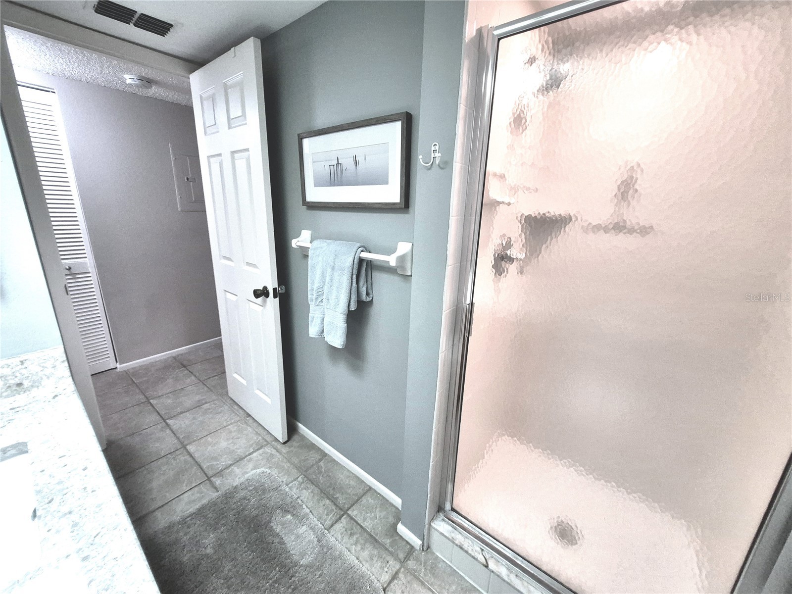50 Woodlake Place Oldsmar FL 34677 TB8507105 image33