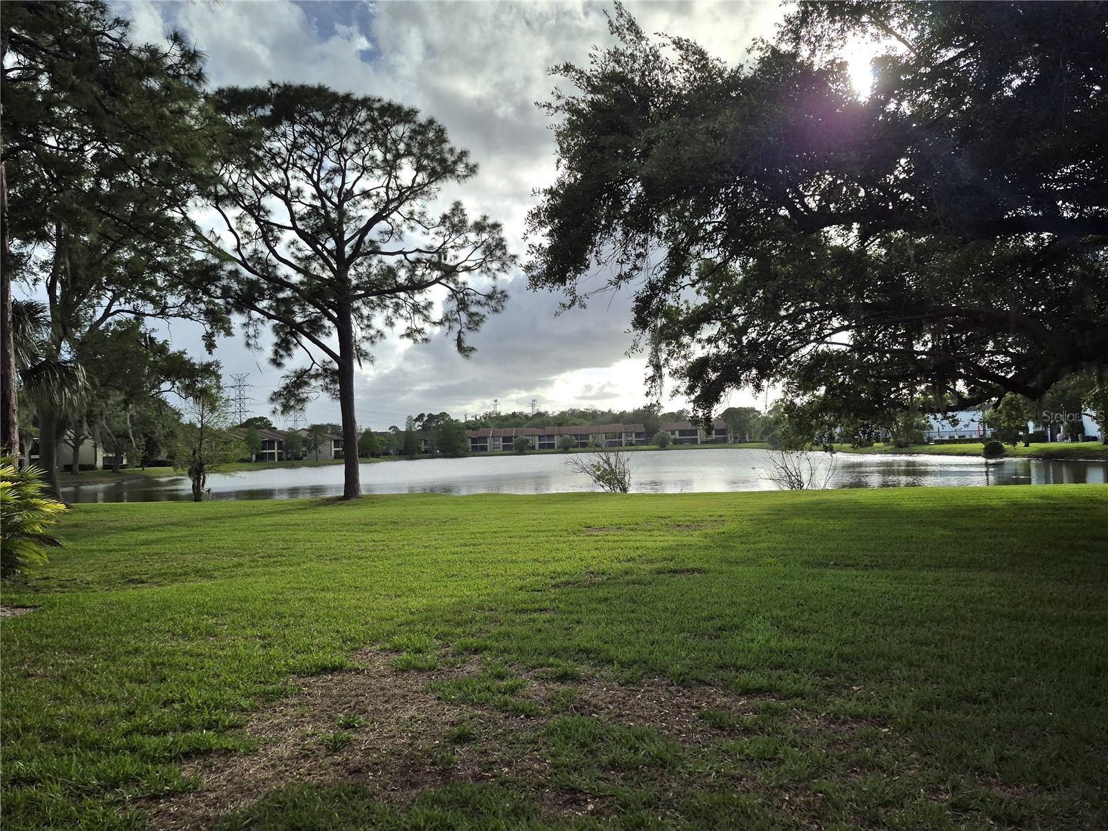 50 Woodlake Place Oldsmar FL 34677 TB8507105 image36