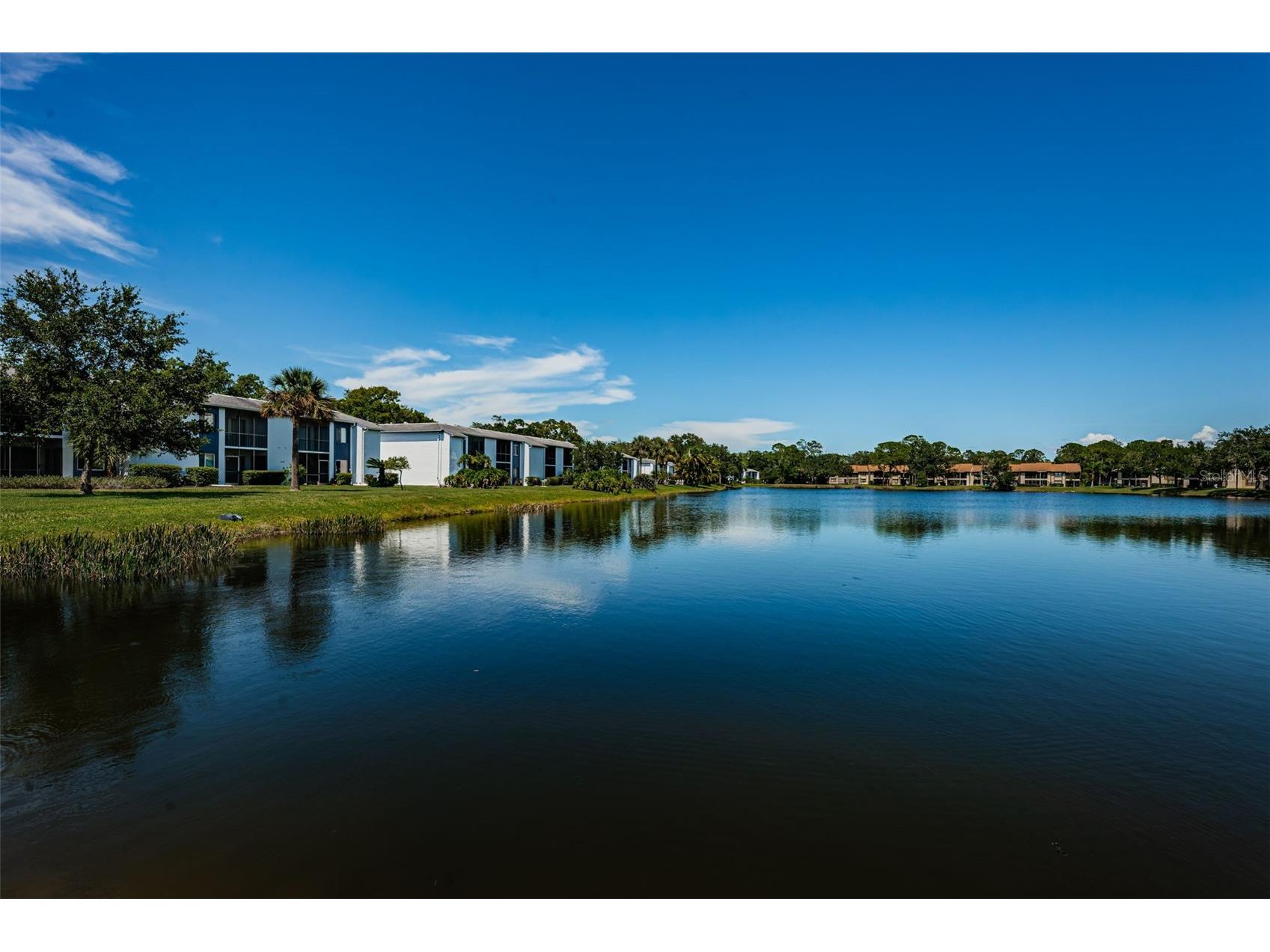 50 Woodlake Place Oldsmar FL 34677 TB8507105 image38
