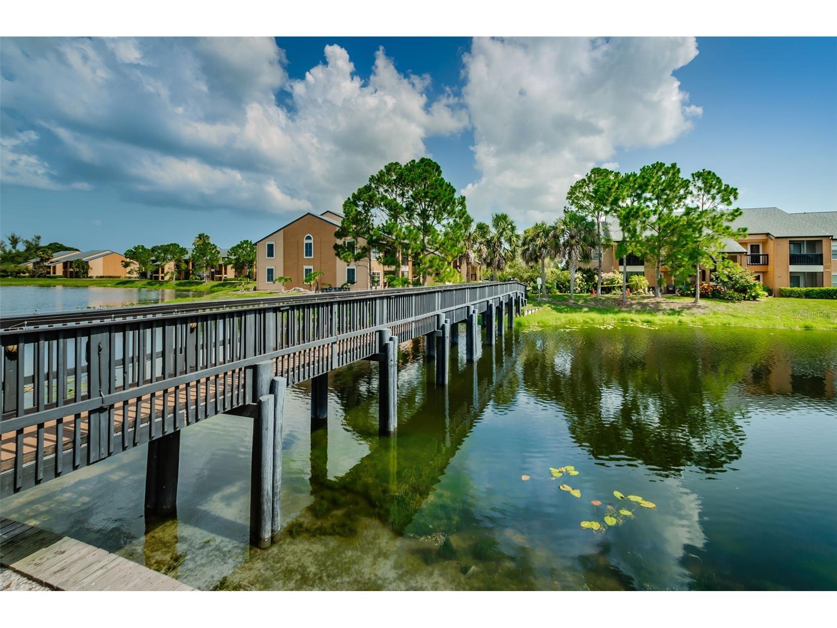 500 Belcher Road S #108 Largo FL 33771 TB8516373 image38