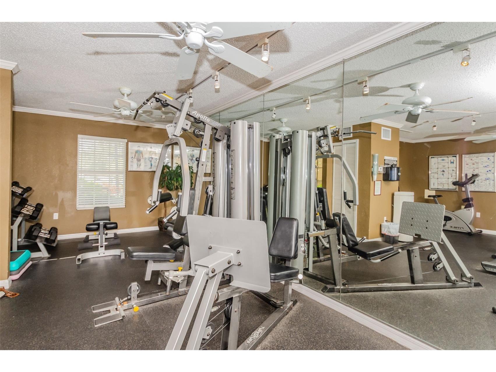 500 Belcher Road S #108 Largo FL 33771 TB8516373 image44