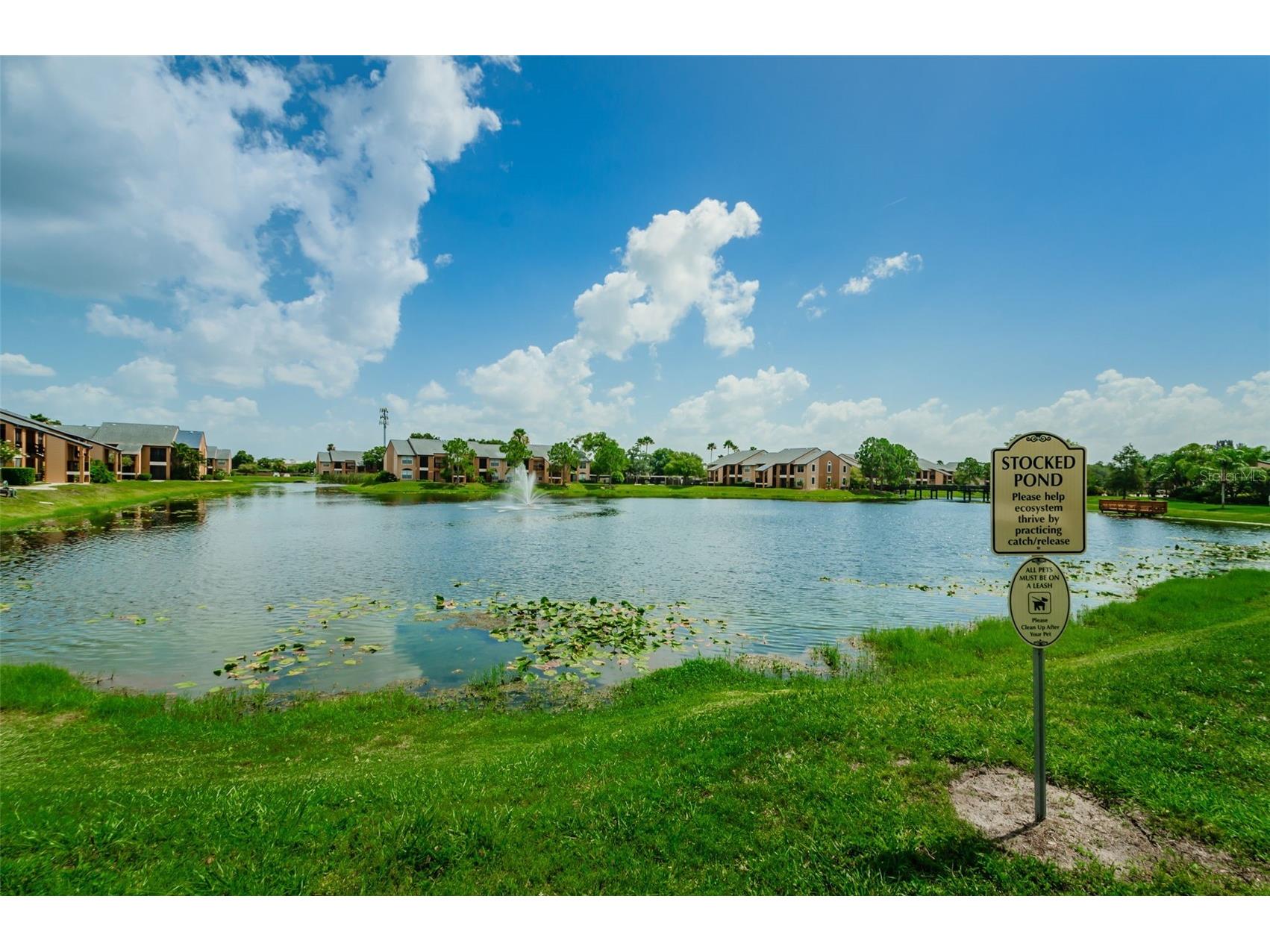 500 Belcher Road S #108 Largo FL 33771 TB8516373 image47