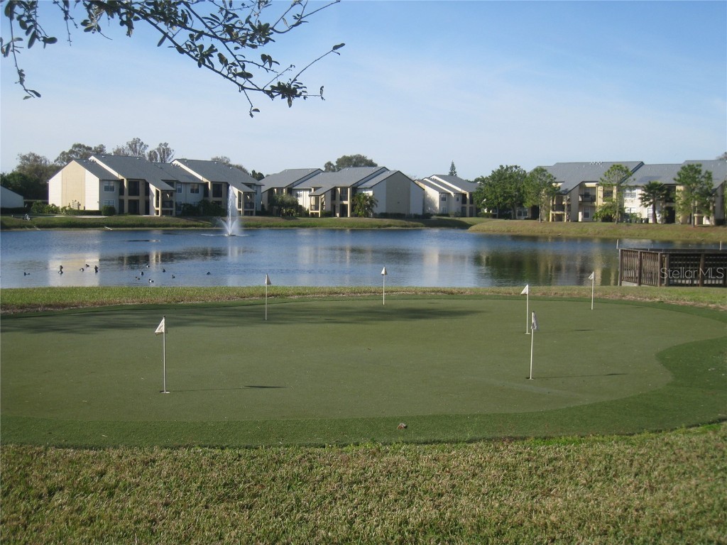 500 Belcher Road S #138 Largo FL 33771 TB8453473 image24