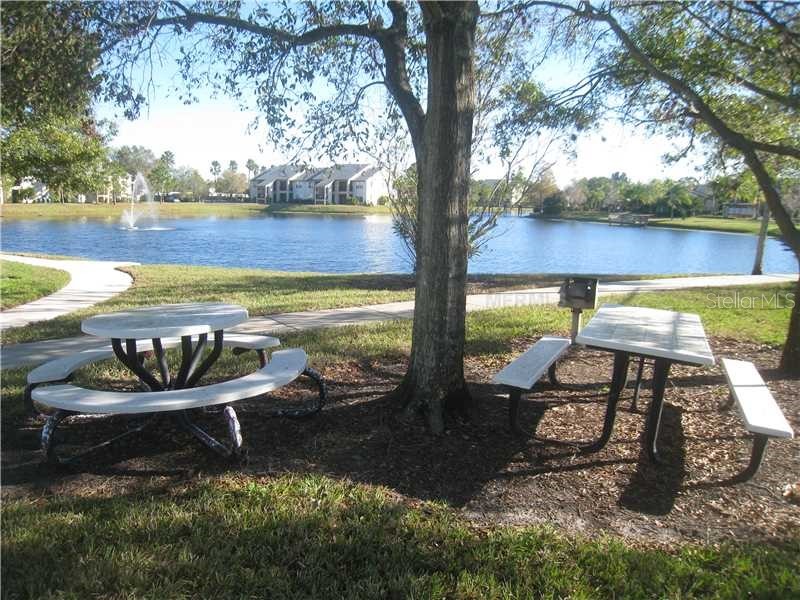 500 Belcher Road S #18 Largo FL 33771 TB8513710 image34