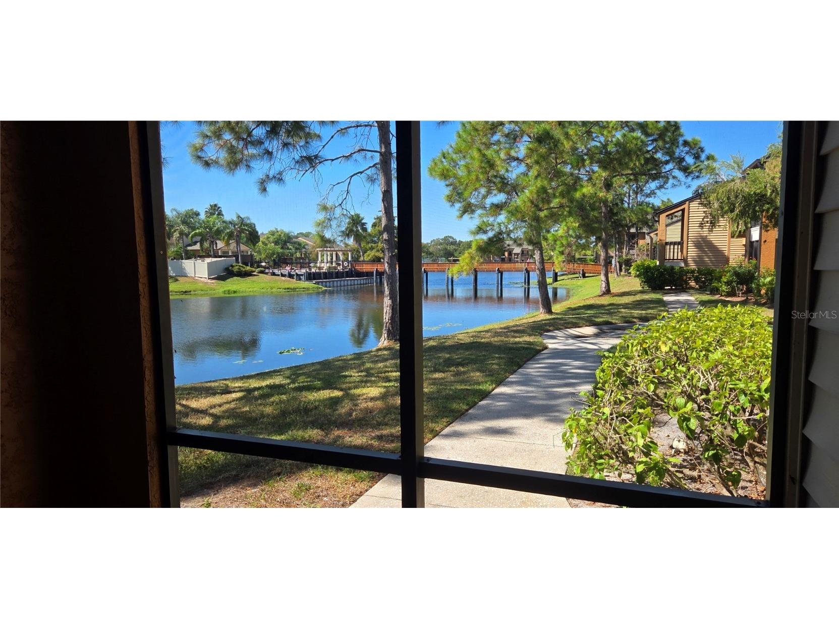 500 Belcher Road S #225 Largo FL 33771 TB8436073 image15