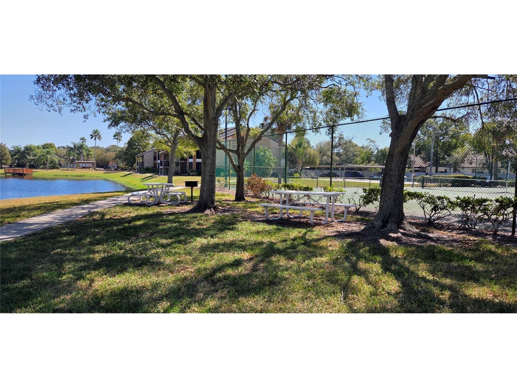 500 Belcher Road S #225 Largo FL 33771 TB8436073 image25