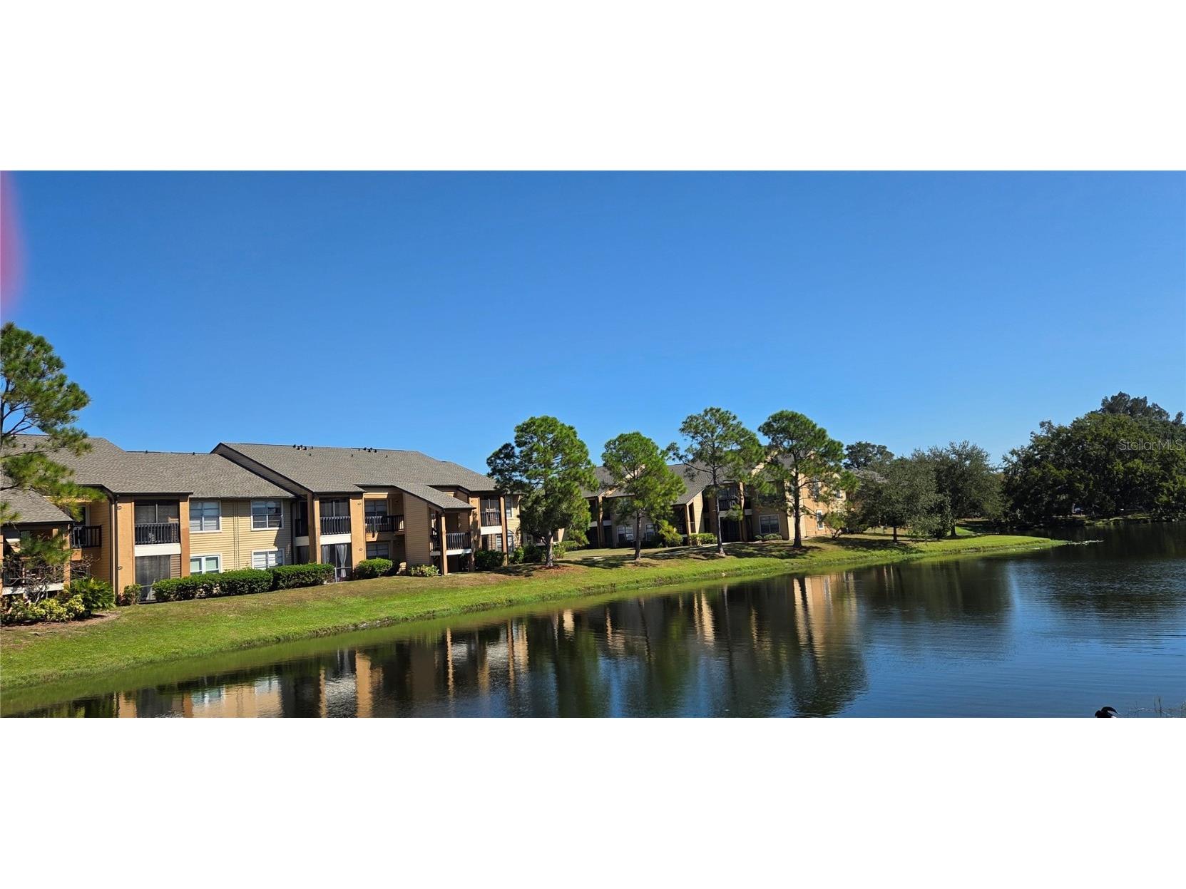 500 Belcher Road S #225 Largo FL 33771 TB8436073 image34