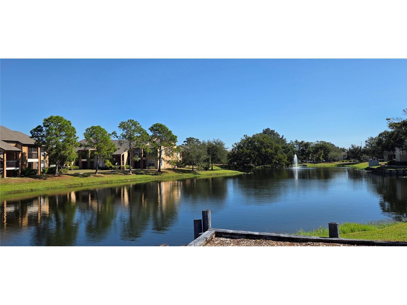 500 Belcher Road S #225 Largo FL 33771 TB8436073 image35