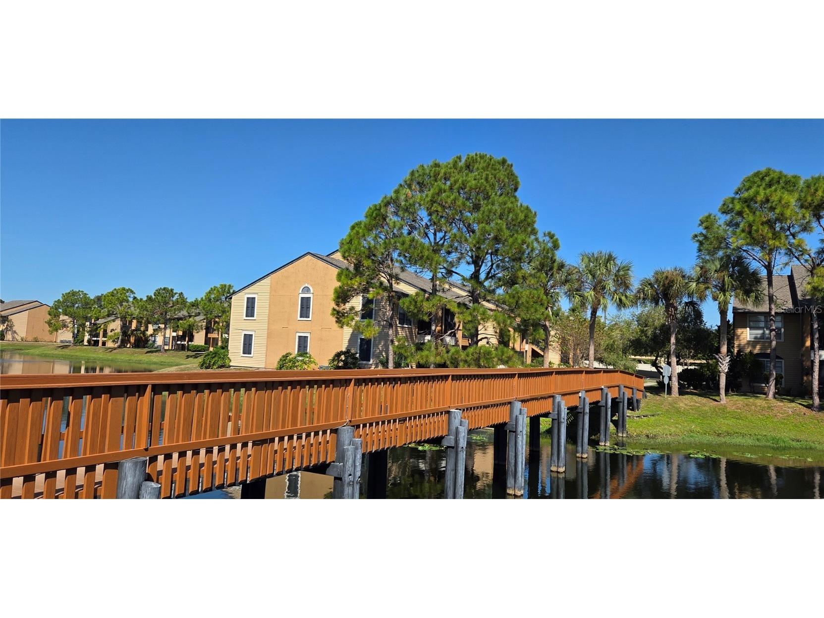 500 Belcher Road S #225 Largo FL 33771 TB8436073 image39