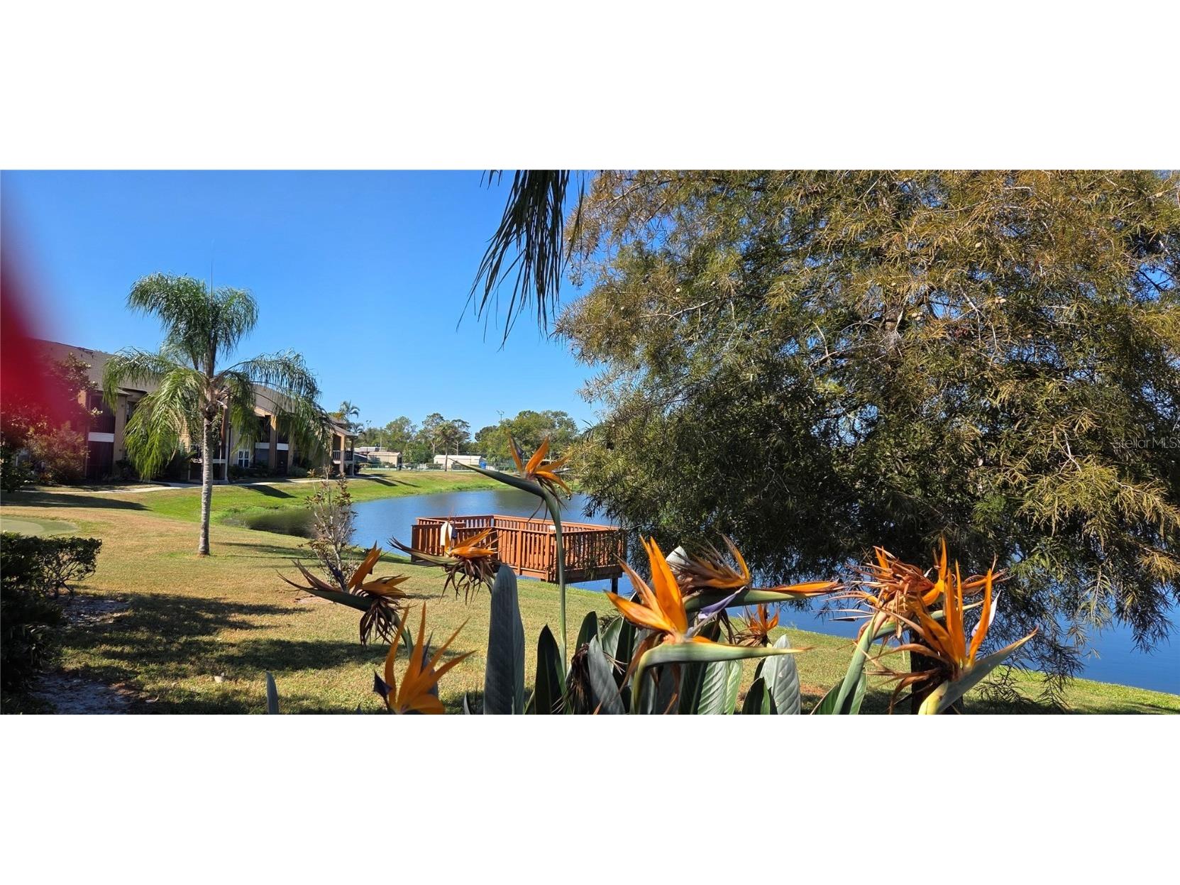 500 Belcher Road S #225 Largo FL 33771 TB8436073 image49