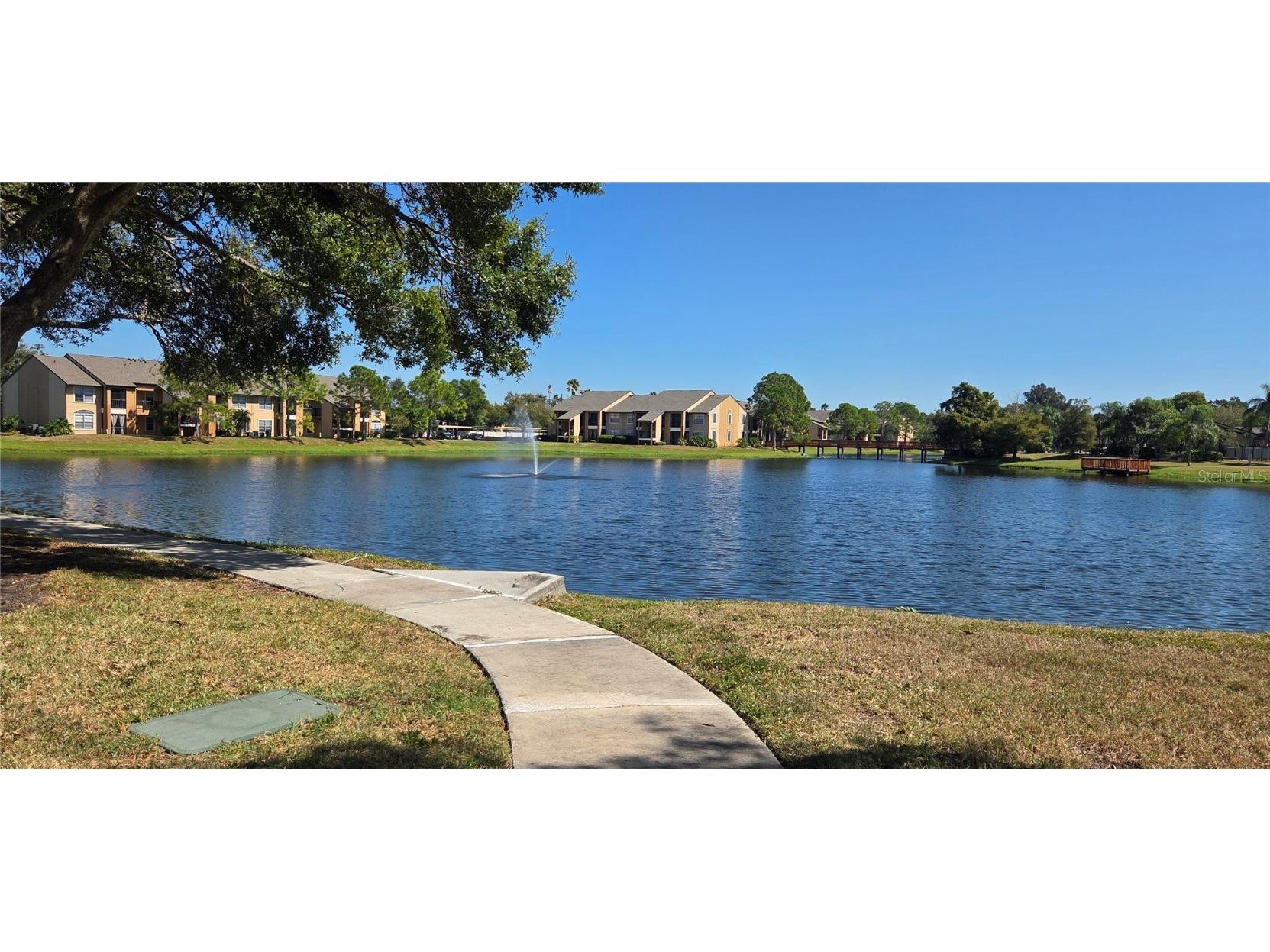 500 Belcher Road S #225 Largo FL 33771 TB8436073 image50