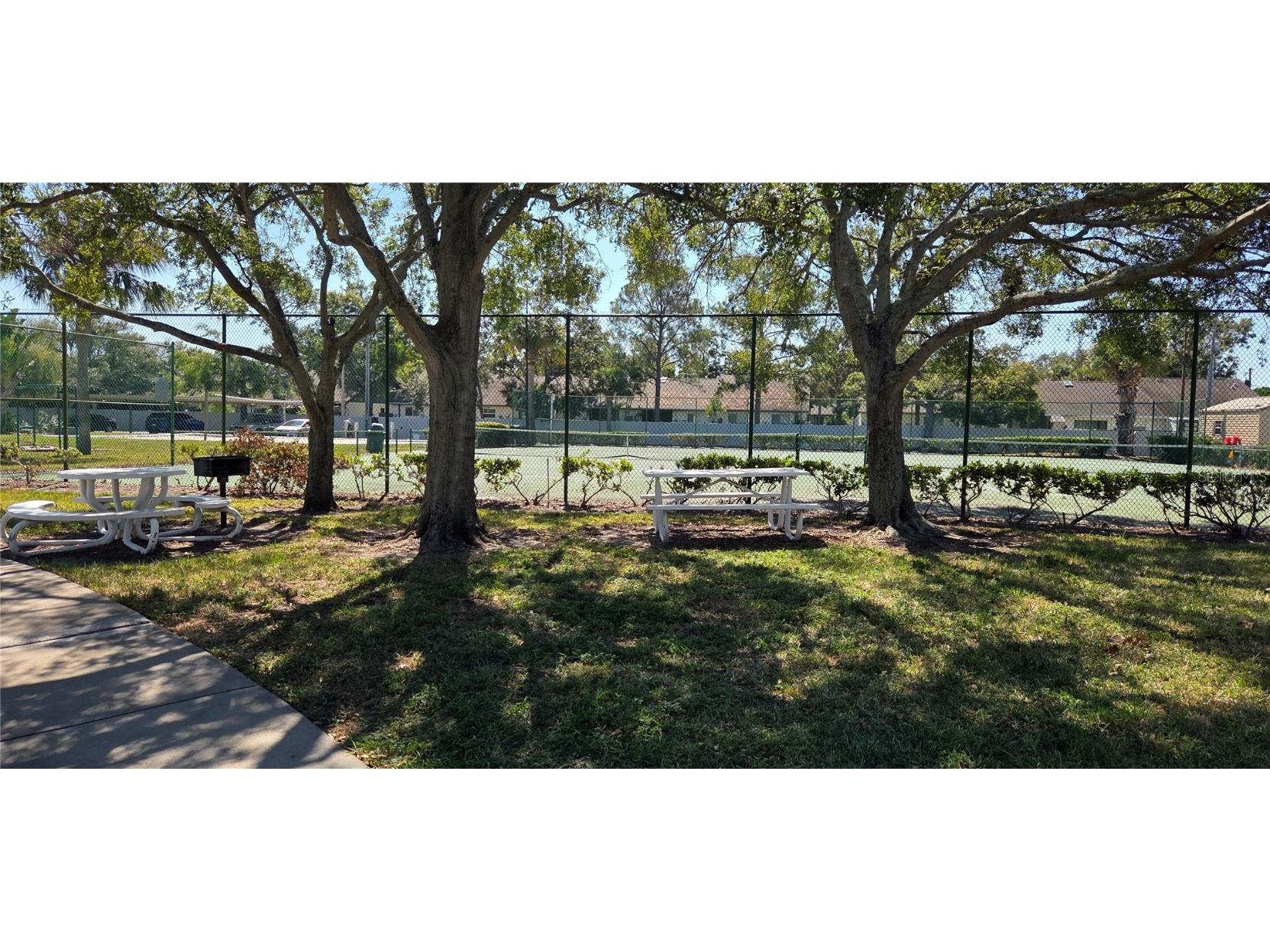 500 Belcher Road S #225 Largo FL 33771 TB8436073 image52