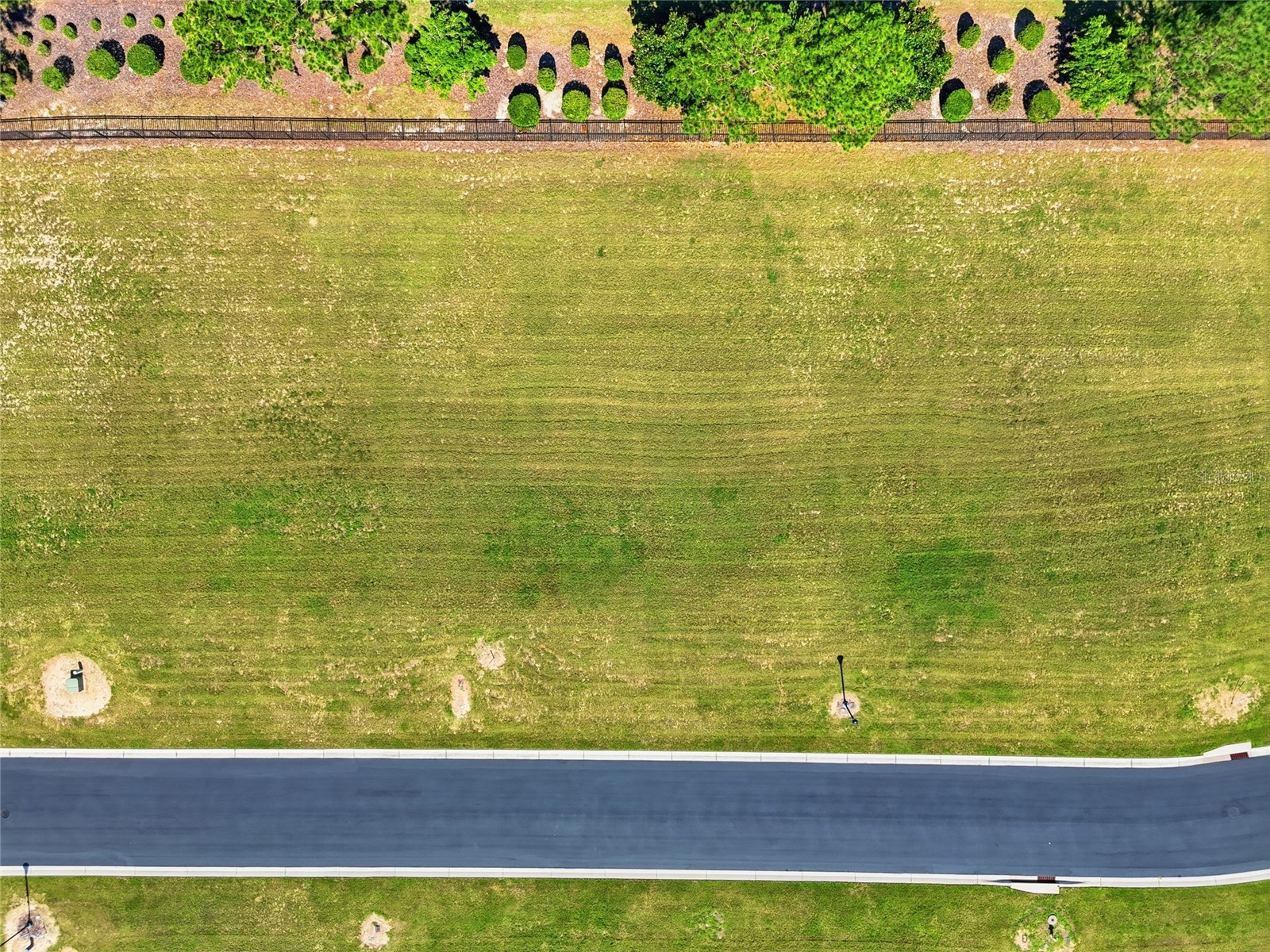 500 Bonamia Avenue Lake Alfred FL 33850 O6416676 image10