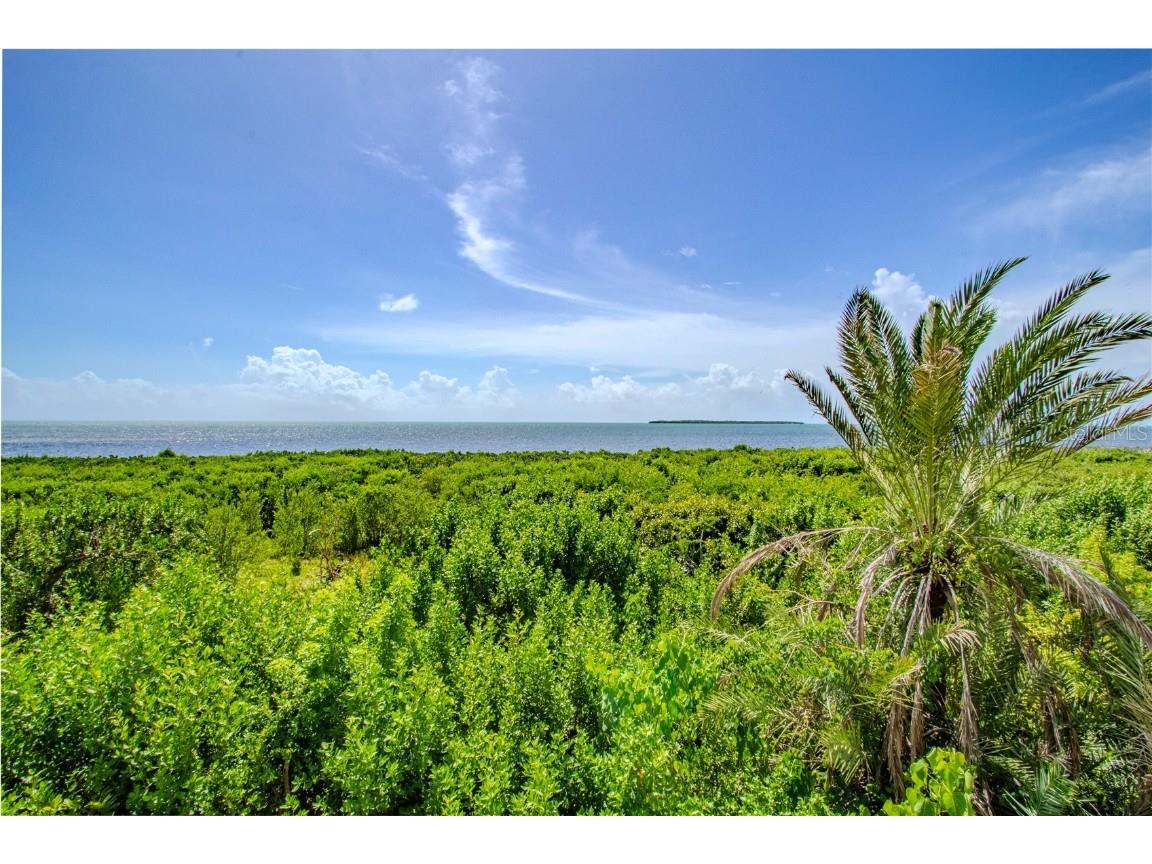 500 Burton Drive #4204 Tavernier FL 33070 O6349943 image37